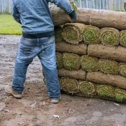 Two men are stacking rolls of turf on top of each other.