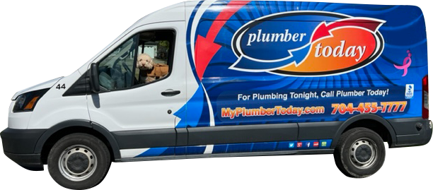 plumber-today-van-with-dog