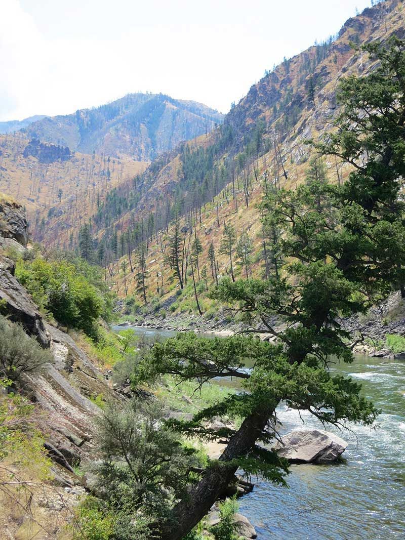 Salmon River