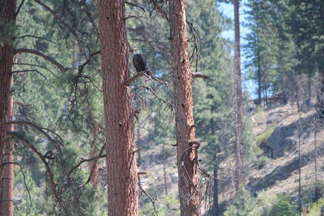 Women in the Wilderness