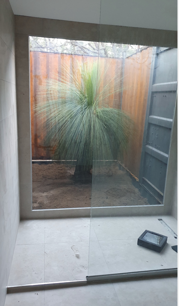 Shower stall with glass wall looking out onto an outdoor area with a plant and wooden fence.