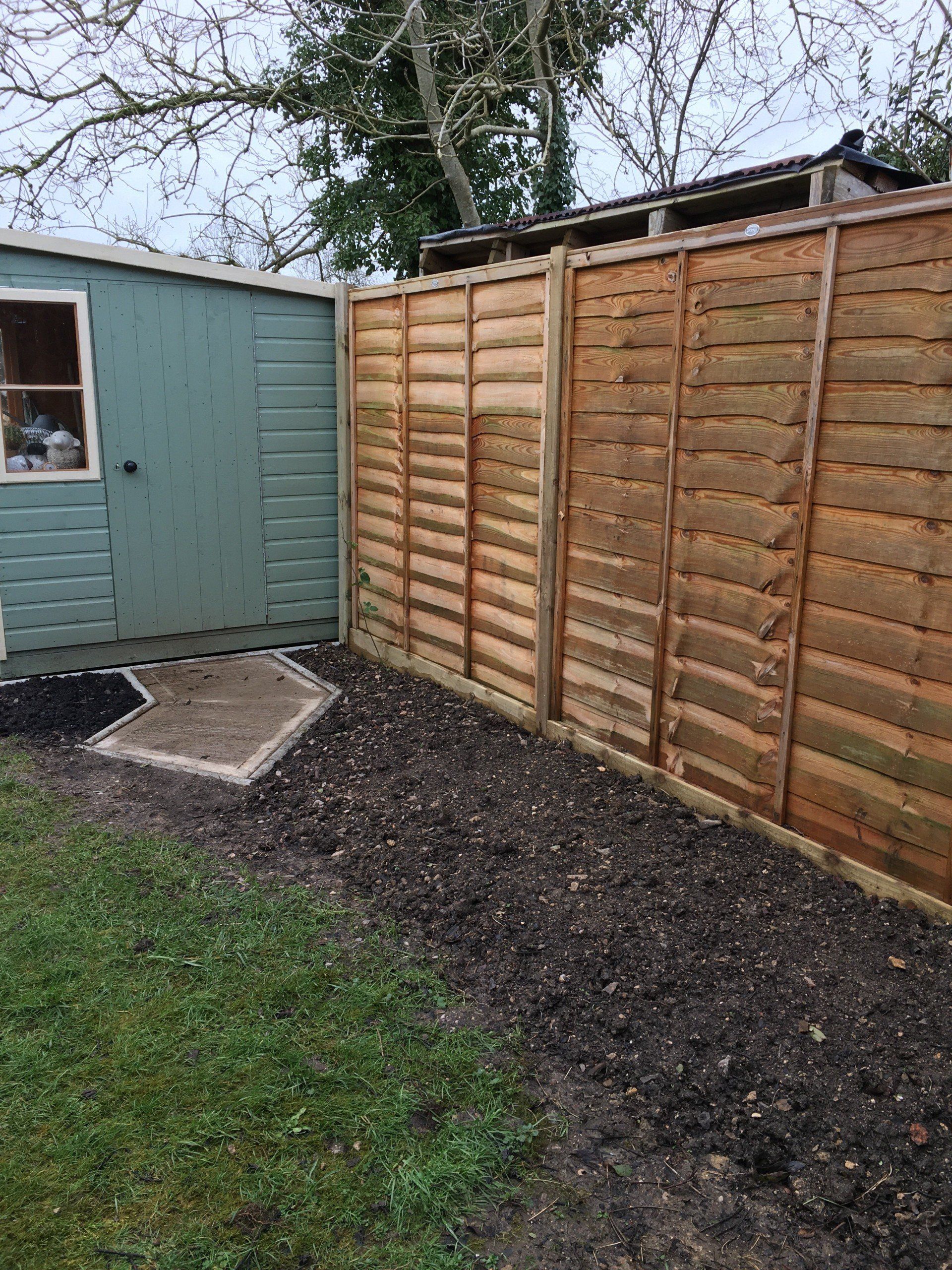 A wooden fence in a backyard next to a blue shed.