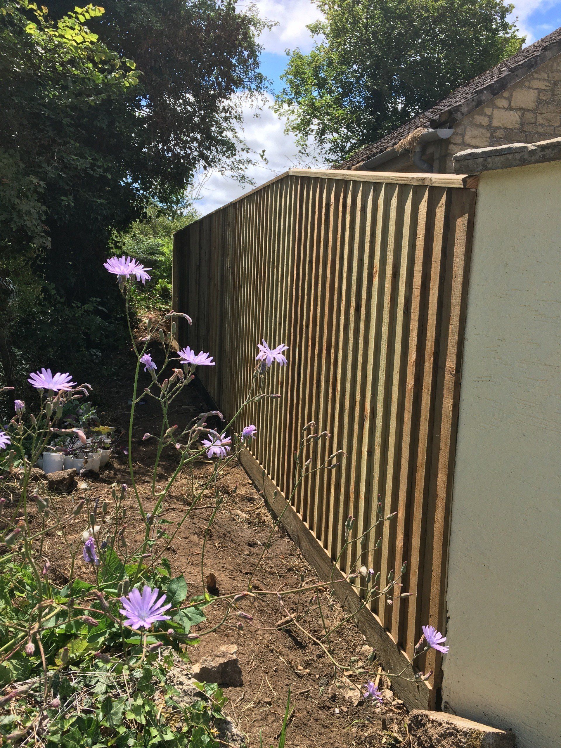 A wooden fence with purple flowers in front of it