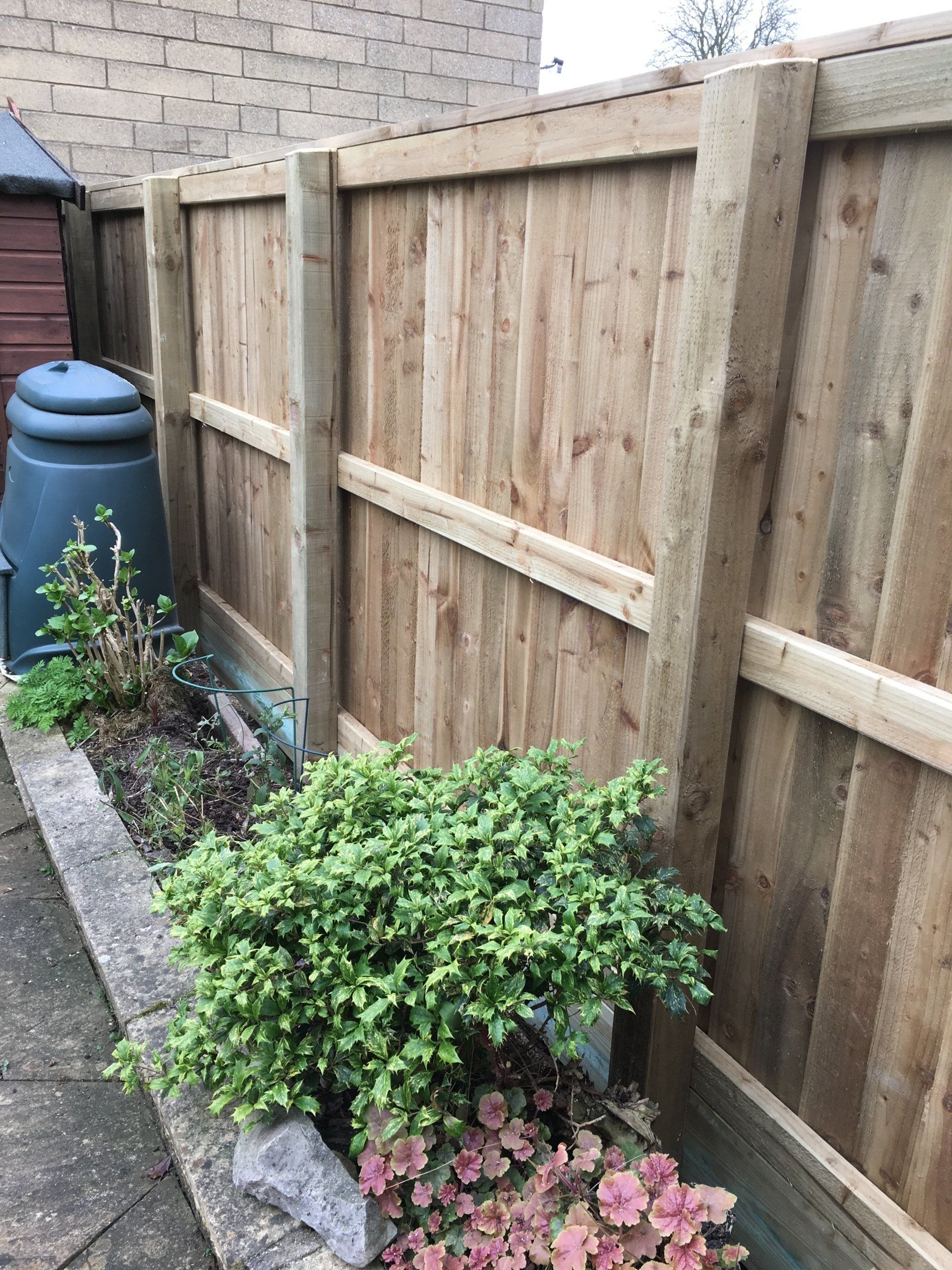 A wooden fence surrounds a garden with flowers and plants.