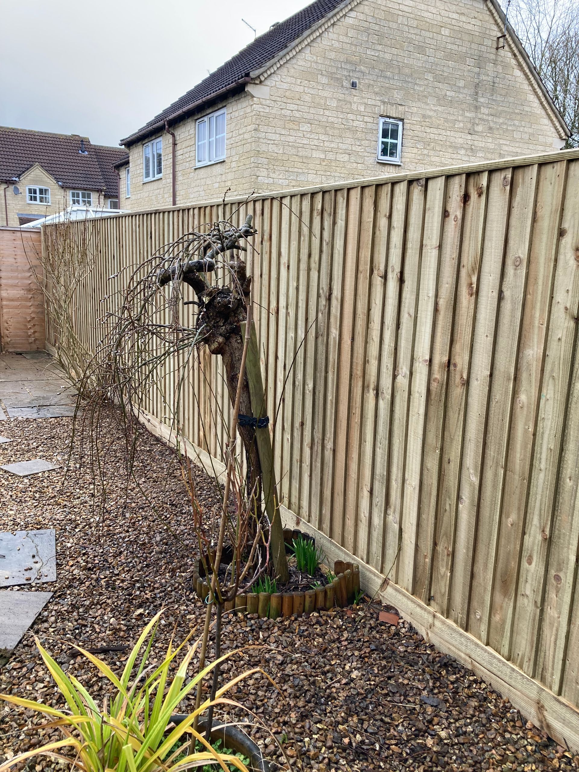 A wooden fence in a backyard with a tree in the middle of it.