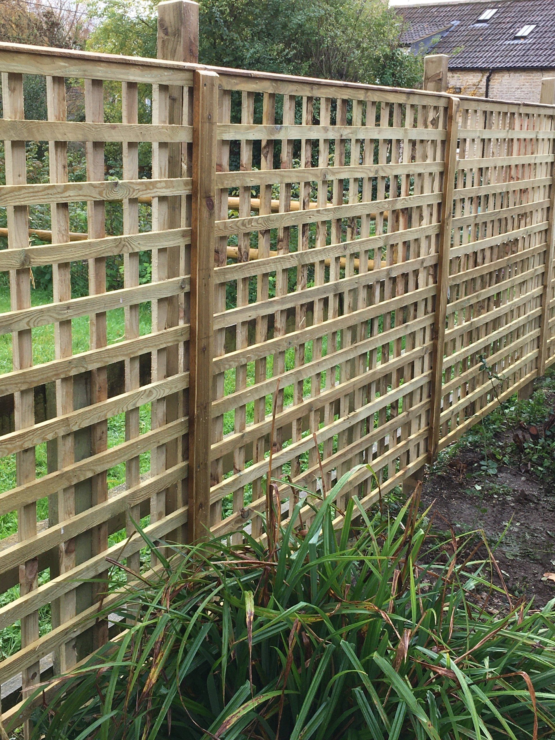 A wooden trellis fence is surrounded by plants in a garden.