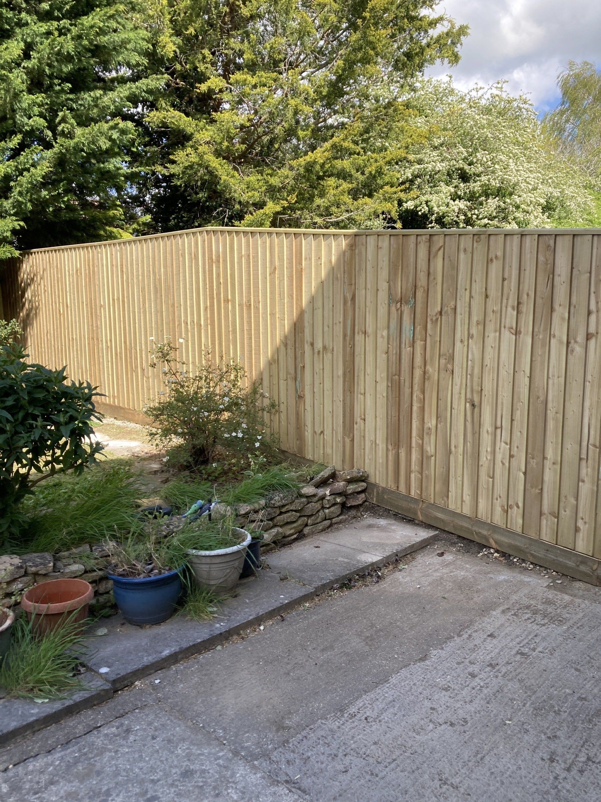 A wooden fence is surrounded by potted plants and trees in a backyard.