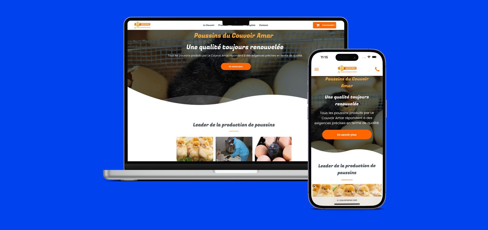 Projet Couvoir Amar  : Refonte site web et augmentation de leur visibilité sur internet