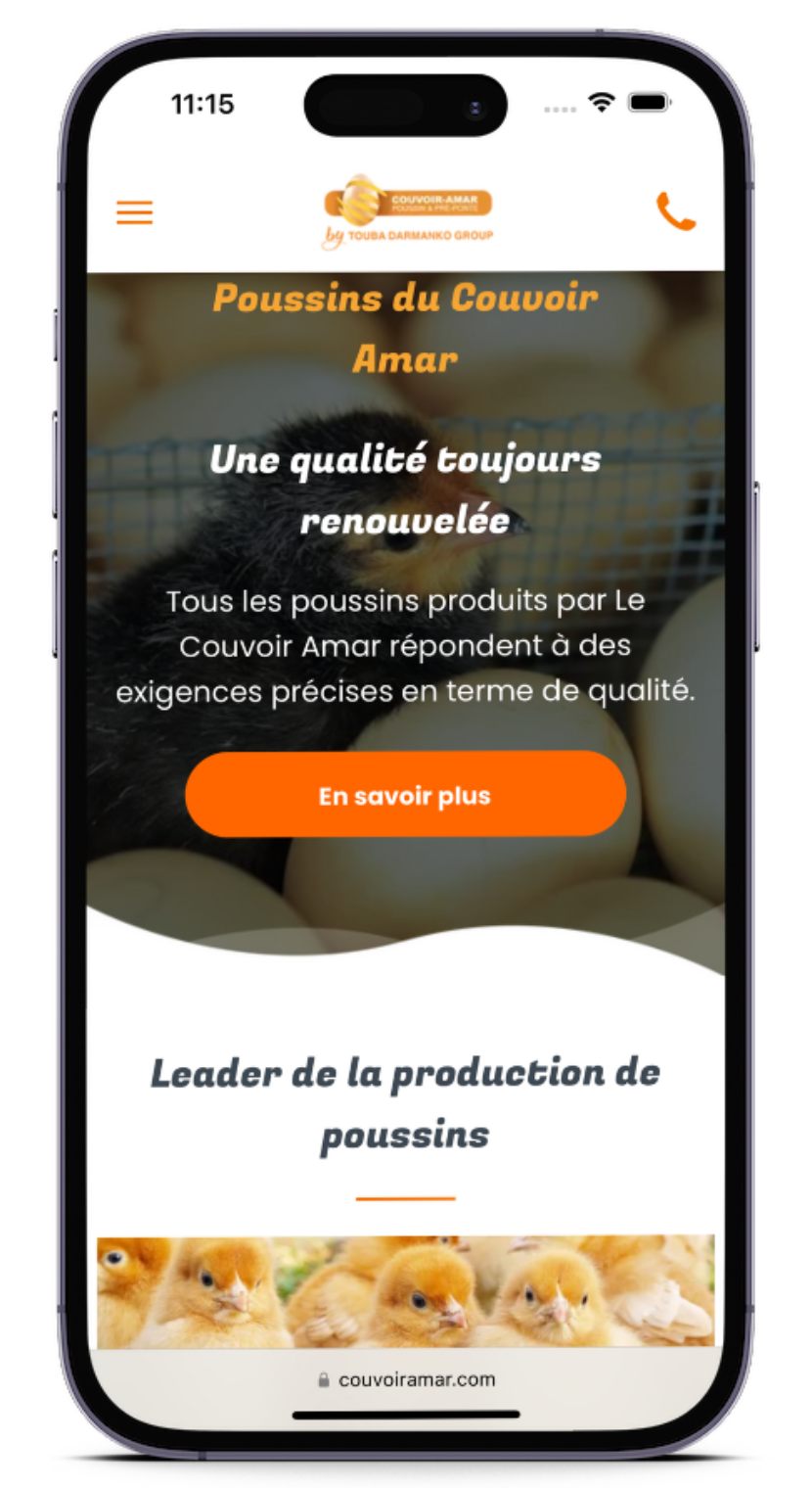 Un téléphone portable avec un site web français dessus.