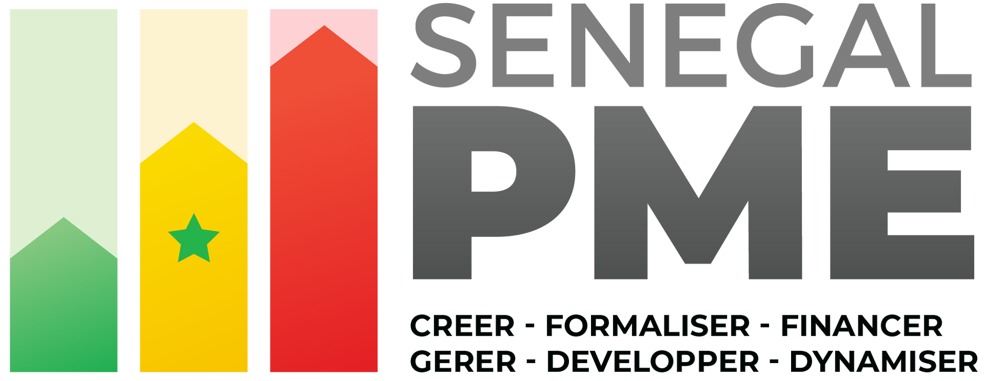 Le logo du pme sénégalais comporte une étoile verte.