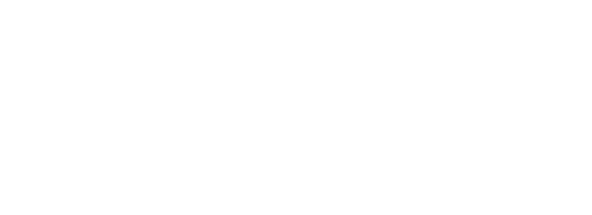 Logo São Luiz