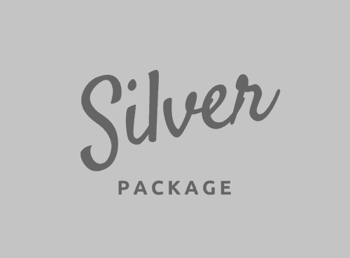 Silver Package icon