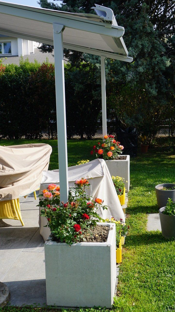 Un patio avec des fleurs en pots sous un auvent.