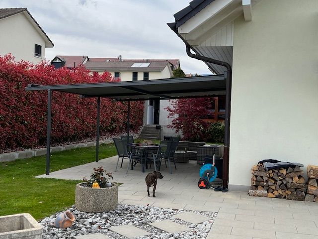 Un chien debout sur une terrasse devant une maison