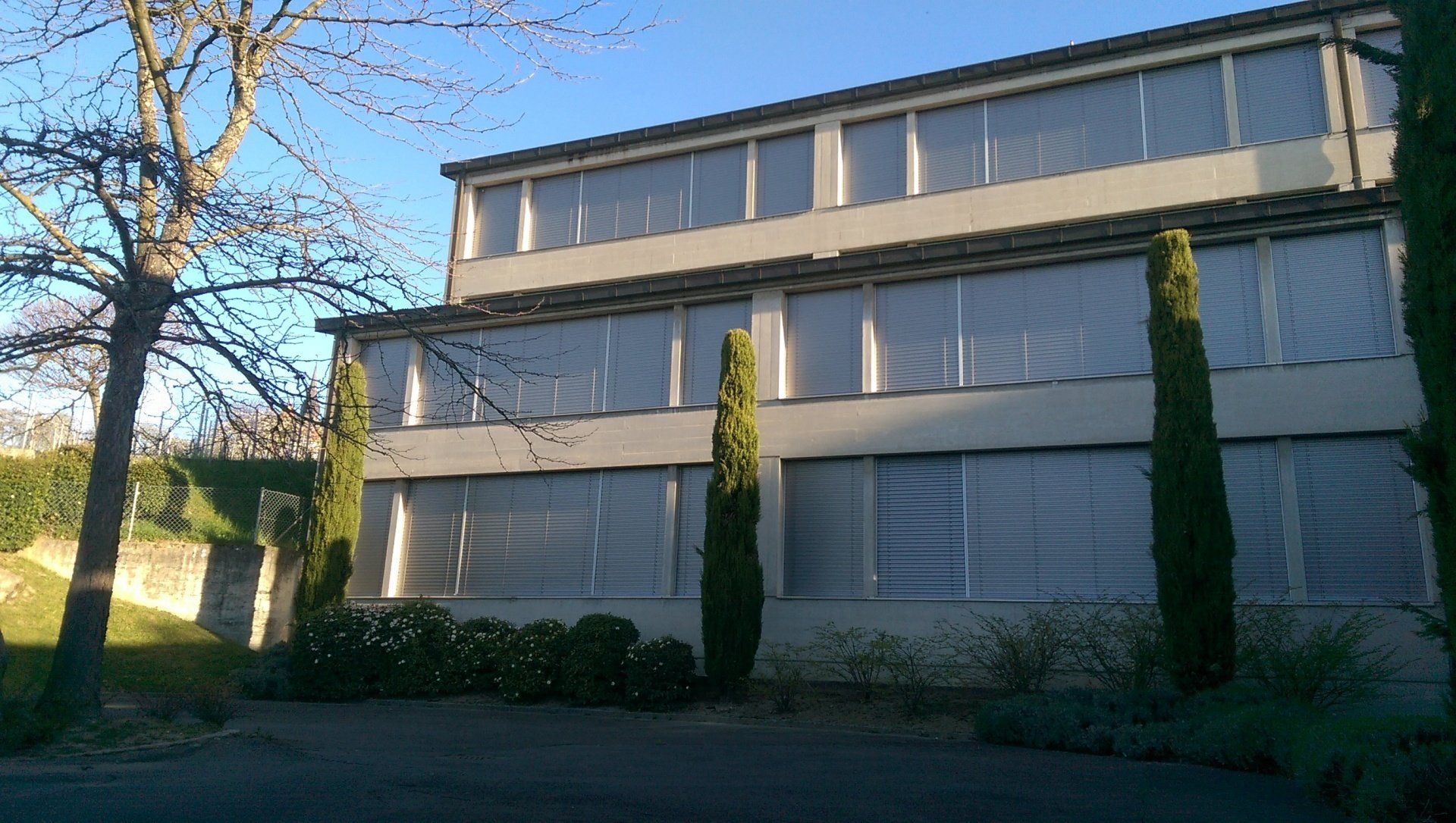 Un grand bâtiment avec beaucoup de fenêtres et d'arbres devant lui