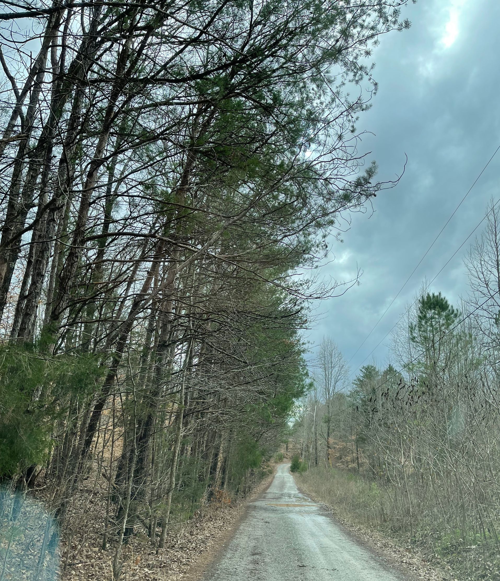 after land improvement photo