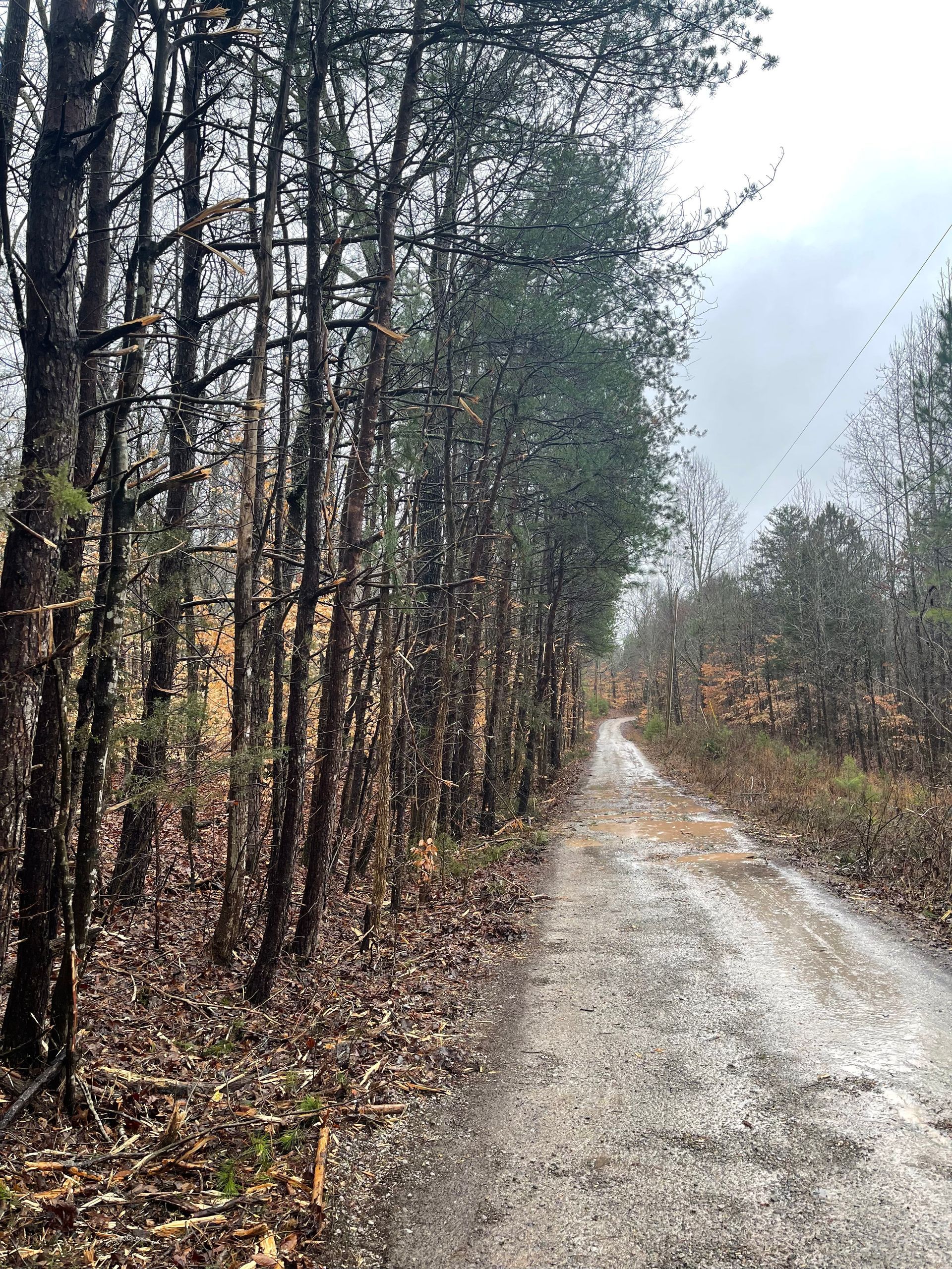 before land improvment