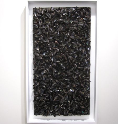 BROODTHAERS
Panneau de Moules