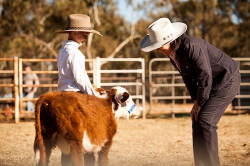 A man and a woman are standing next to a brown and white cow.