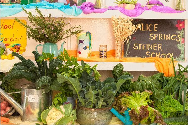 A shelf filled with vegetables and a sign that says alice springs steiner school