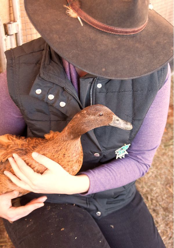 A woman in a hat is holding a brown duck