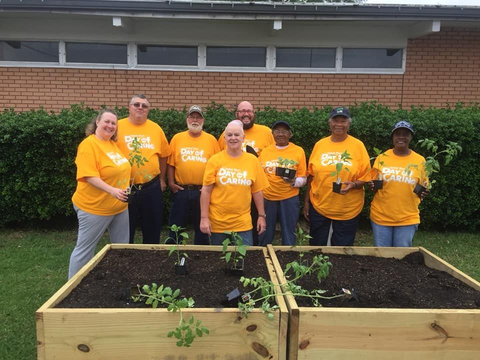 Group of volunteers in orange shirts planting in raised garden beds.