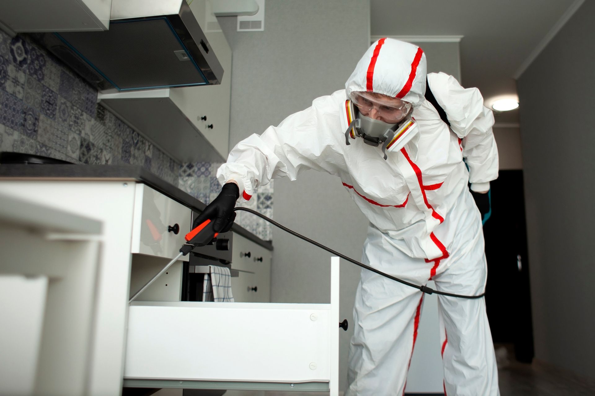 Pest control in kitchen.