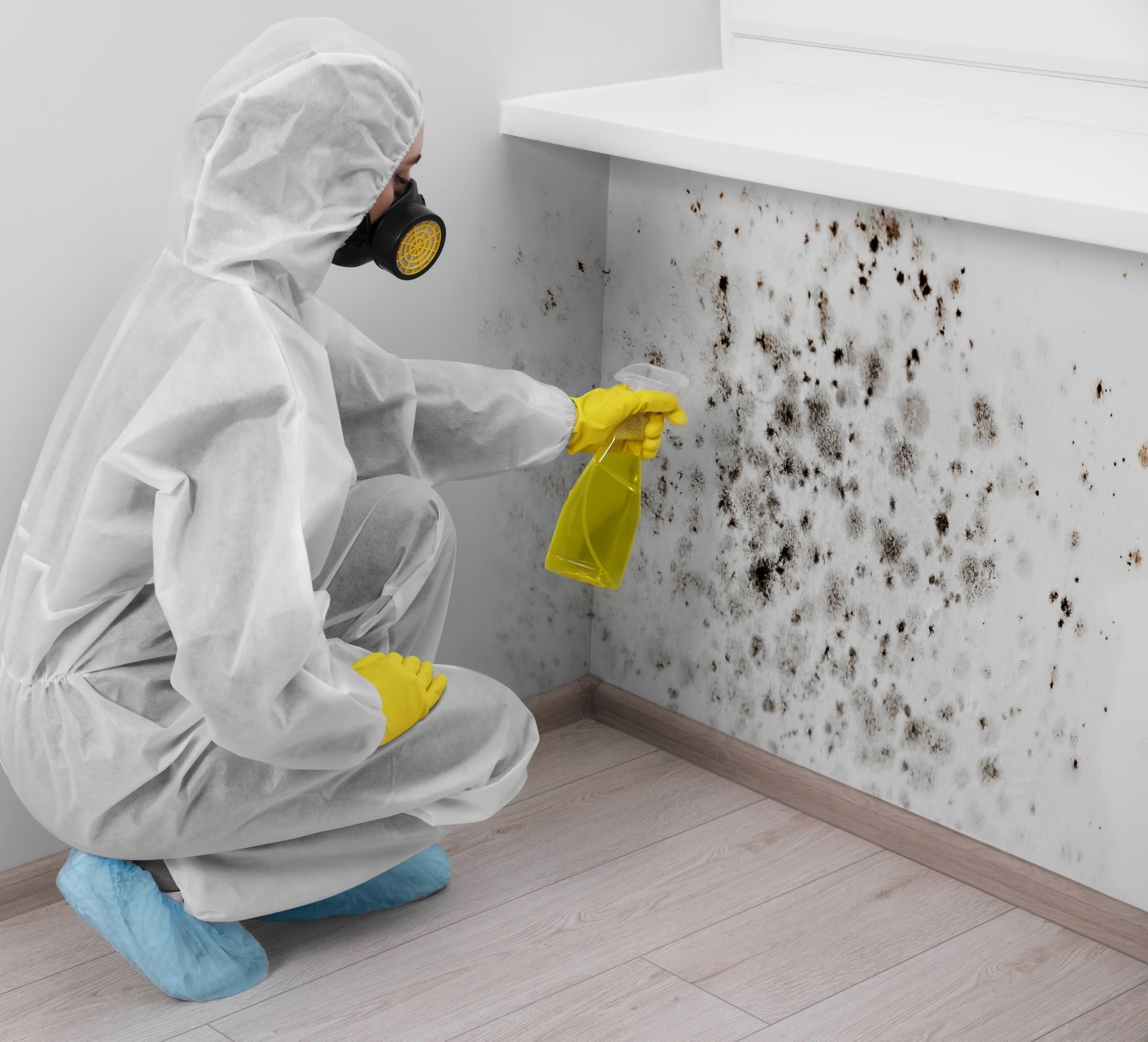 Removing mold in wall.