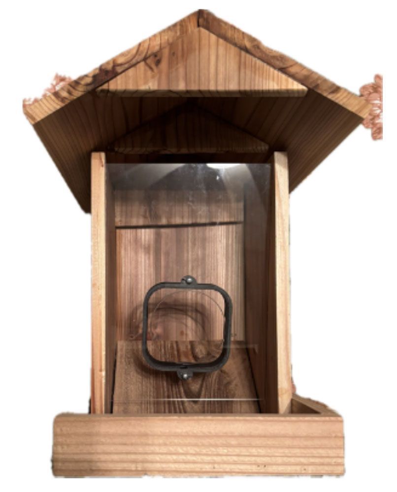 Blink Camera Bird Feeder/Observer