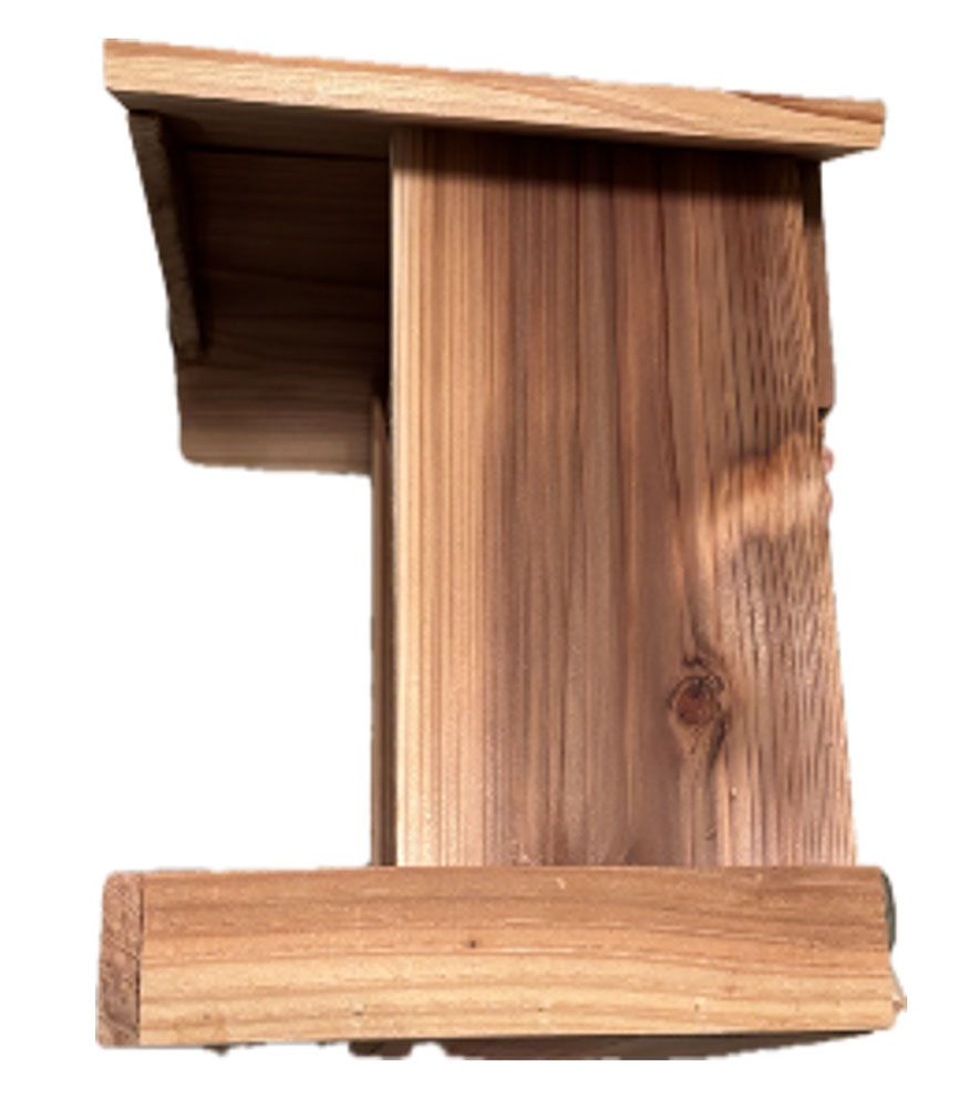 Blink Camera Bird Feeder/Observer