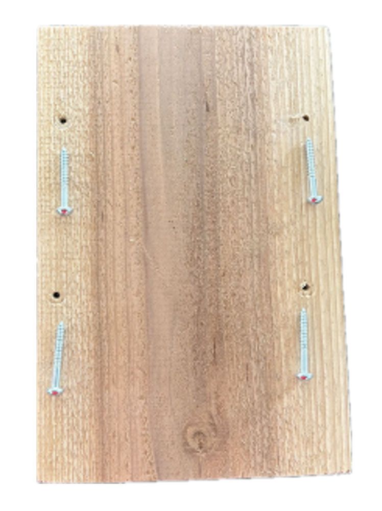 Blink Cam Bird House Nesting Box