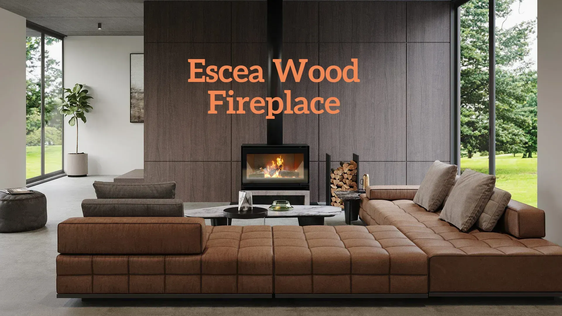 Escea Wood Fires