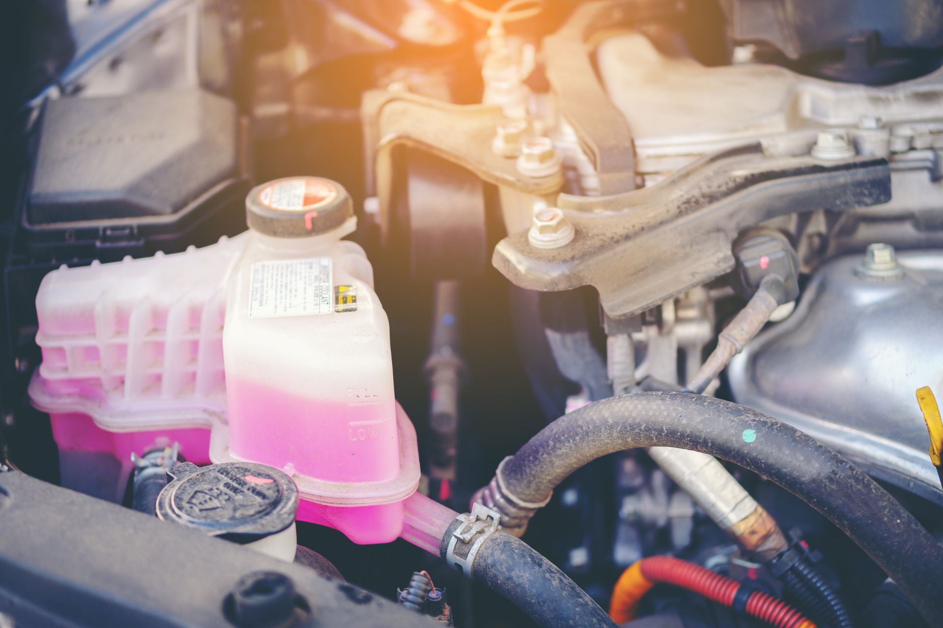 A close up of a car engine with a pink liquid in it.