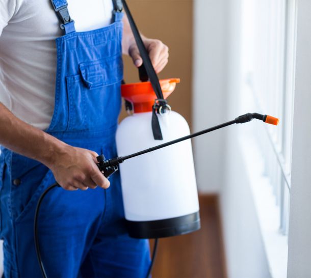 Pest Control — Free Yourself Pest Control in Gilbert, AZ