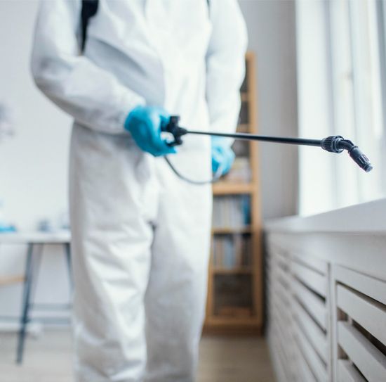 Pest Control — Free Yourself Pest Control in Gilbert, AZ