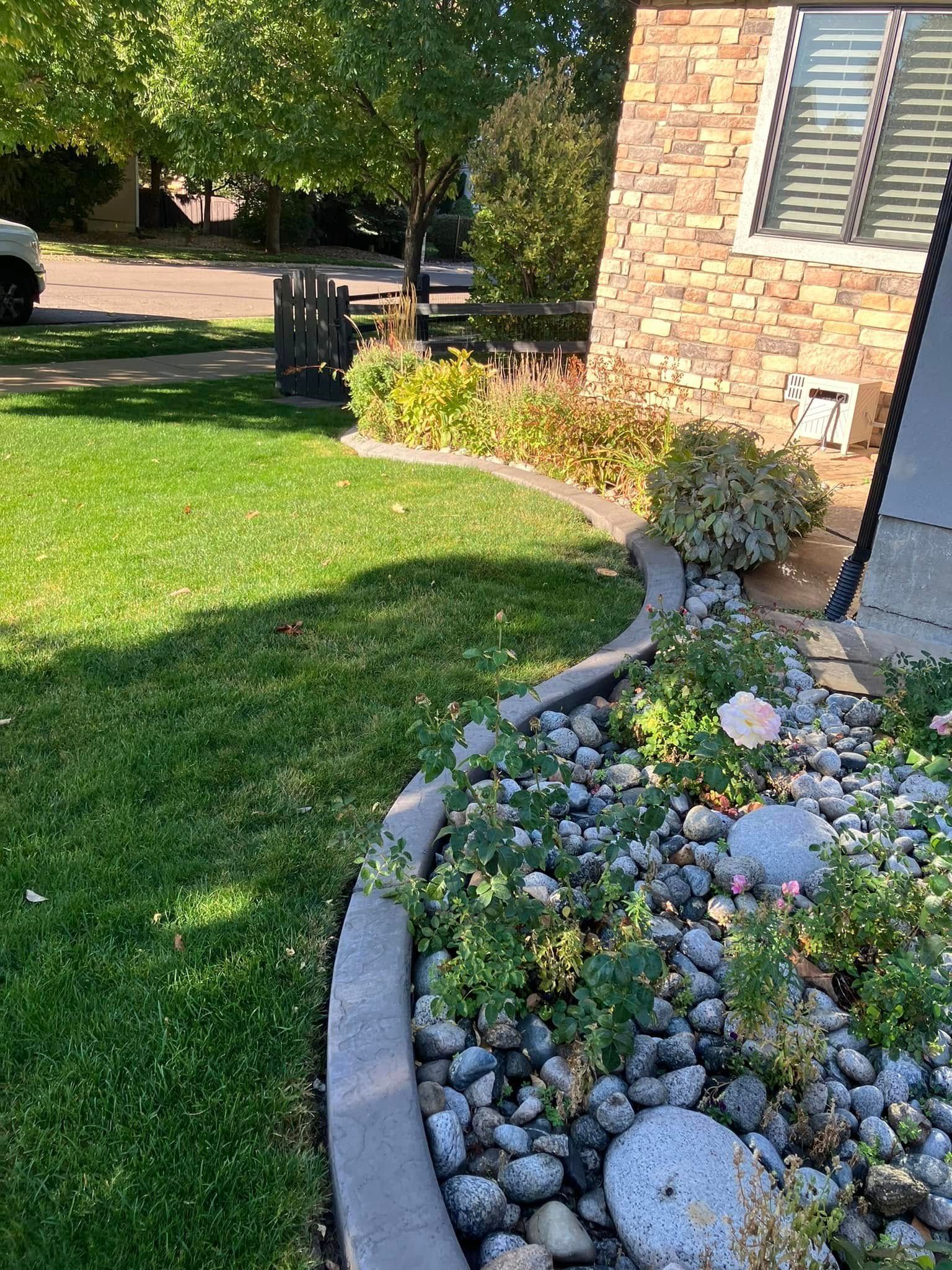 Lush green lawn with a rock garden and curved concrete edging next to a brick building.