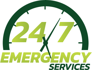Branching Out Tree Service on Long Island with 24/7 Emergency Service
