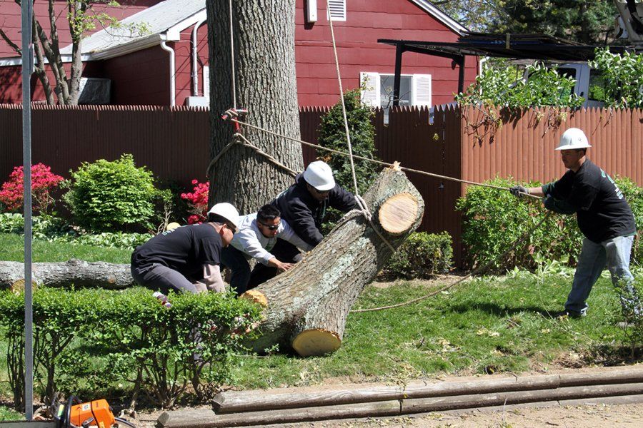 Tree Removal | Woodside, NY