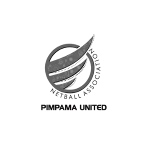 Netball association logo, gray and white. Circle with abstract wing design, 