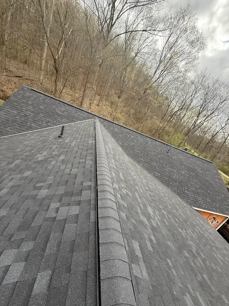 Dark gray shingled roof with a ridge. Bare trees and overcast sky in the background.