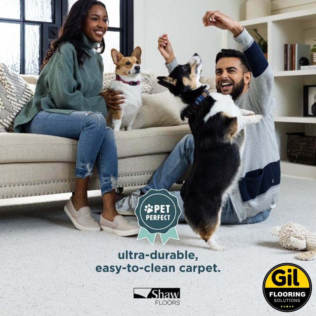 A man and woman are sitting on a couch with two dogs. A man and woman are sitting on a couch with two dogs.