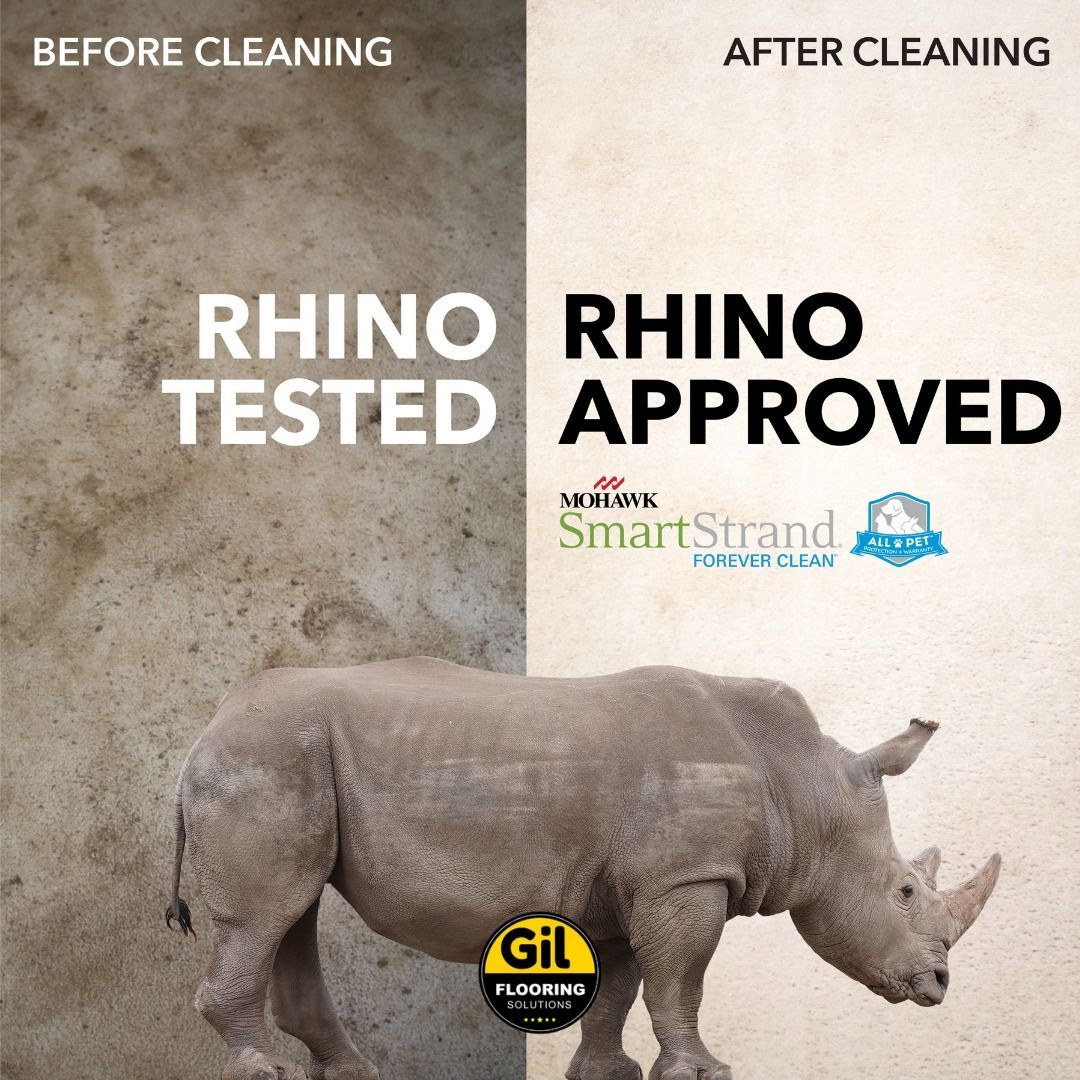 A picture of a rhino before and after cleaning A picture of a rhino before and after cleaning