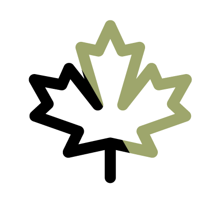 A black and green maple leaf on a white background.