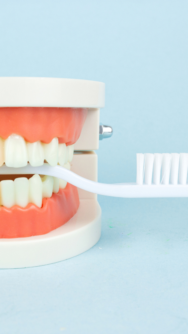 A dentist is examining a patient 's teeth in a dental studio.