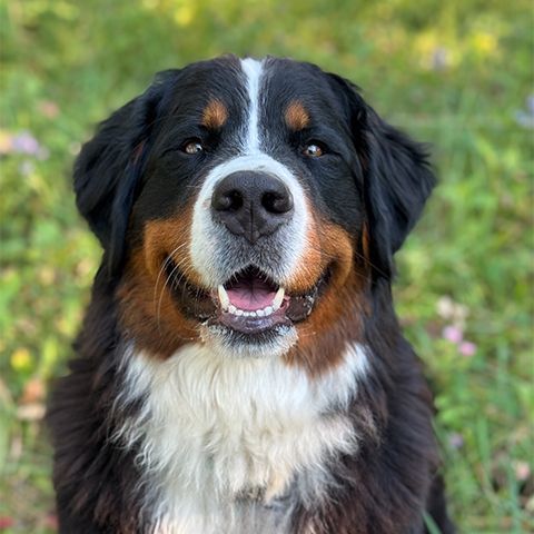 Doubledutch’s Amilyn