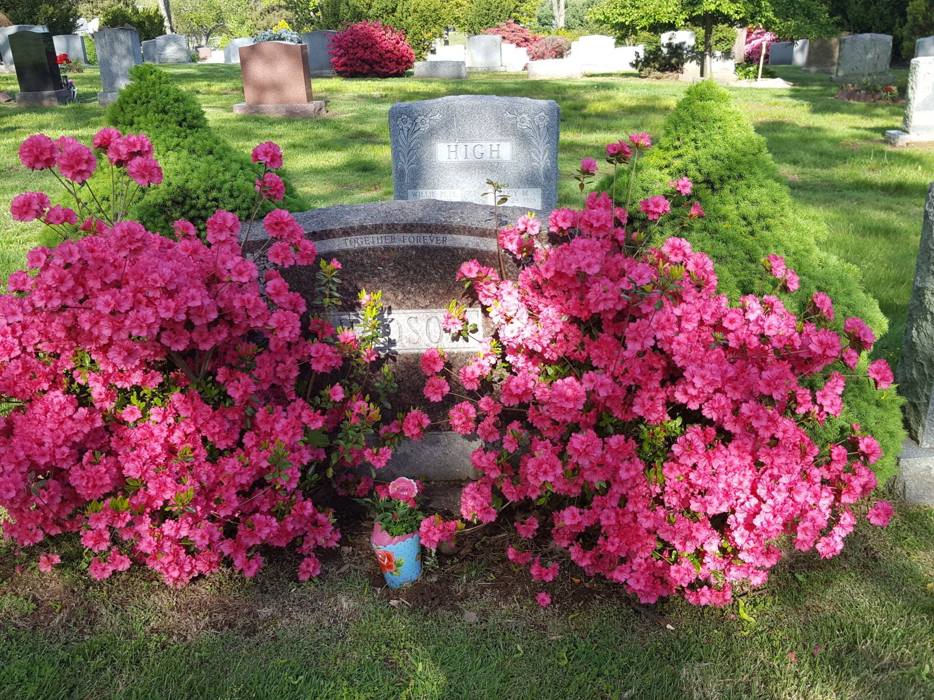 The Madonna Funeral Home | Passaic, NJ