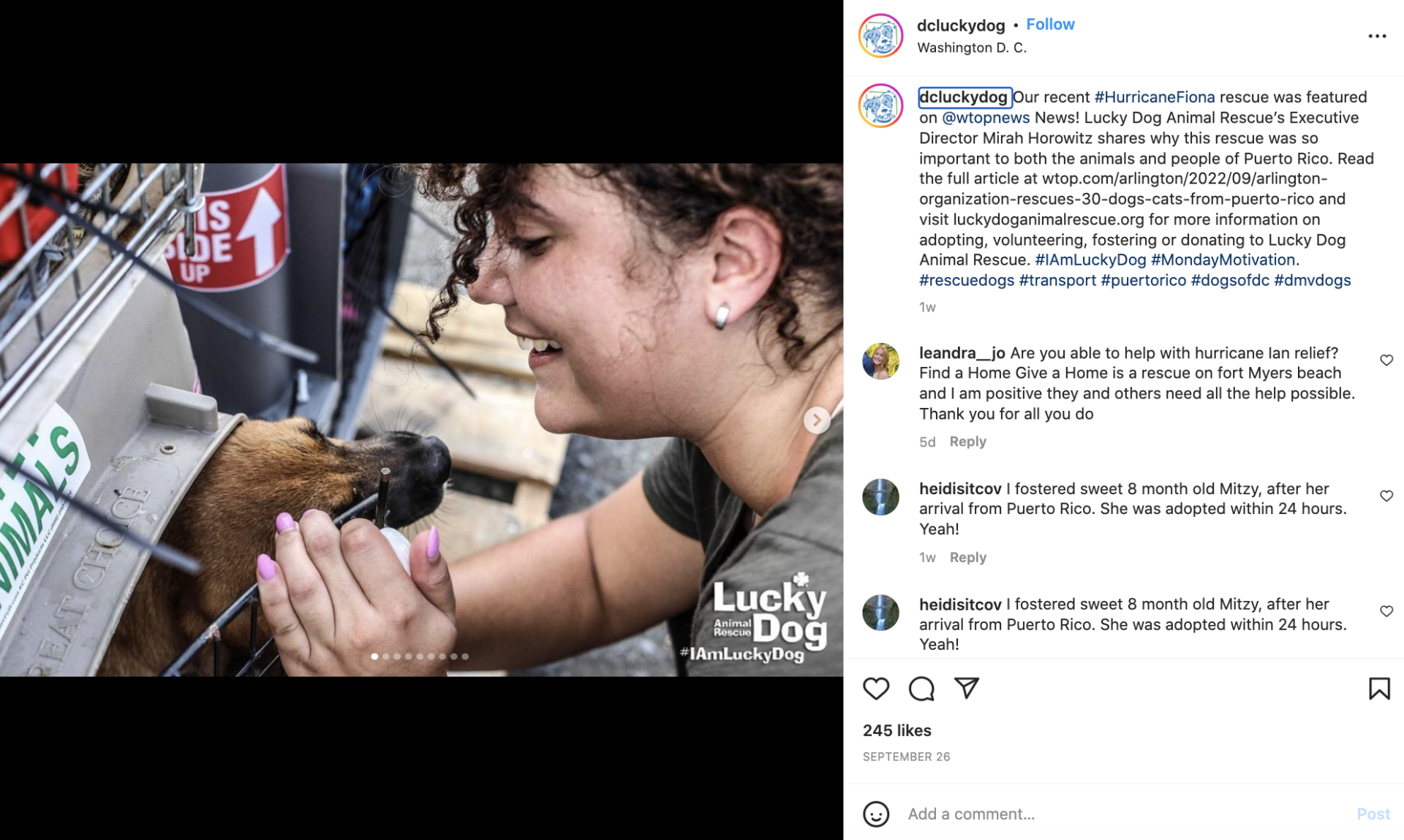 Instagram screenshot of DC Lucky Dog Animal Rescue of post about going to Puerto Rico after Hurrican Fiona