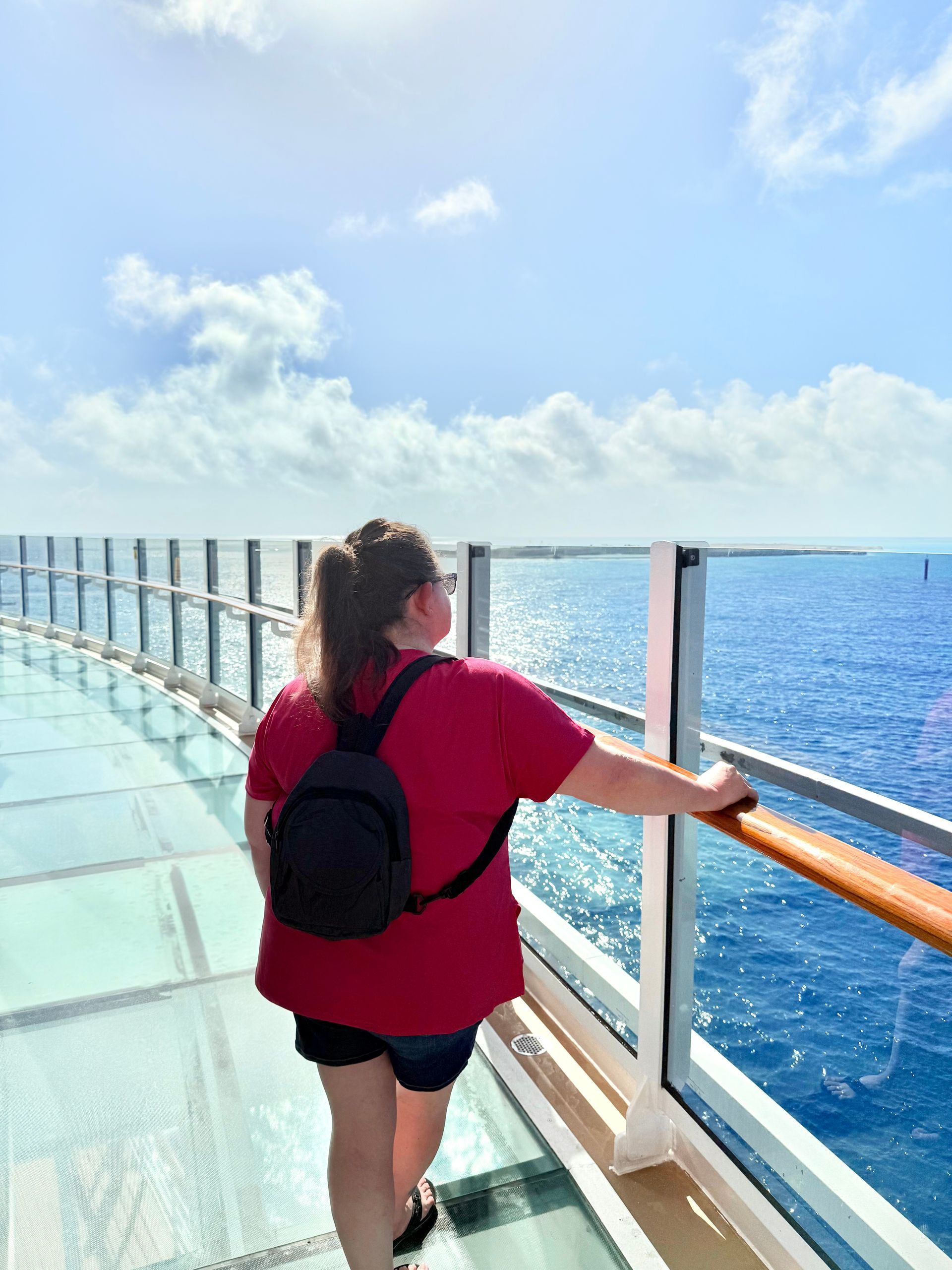 A woman is standing on a bridge overlooking the ocean.