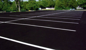 Empty black asphalt parking lot with white painted parking space lines; green trees in the background.