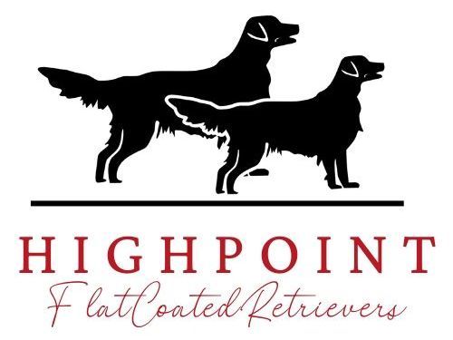 The logo for highpoint flat coated retrievers shows two dogs standing next to each other.